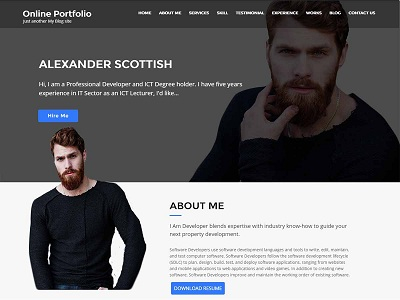 Online Portfolio Web Developer Portfolio WordPress Theme
