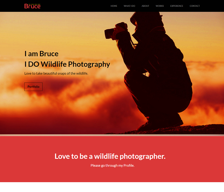 Bruce Resume website template, resume website template free download