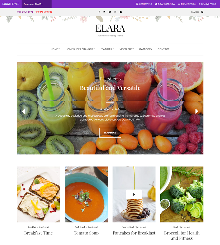 Elara WordPress Themes, best free wordpress themes for blogs