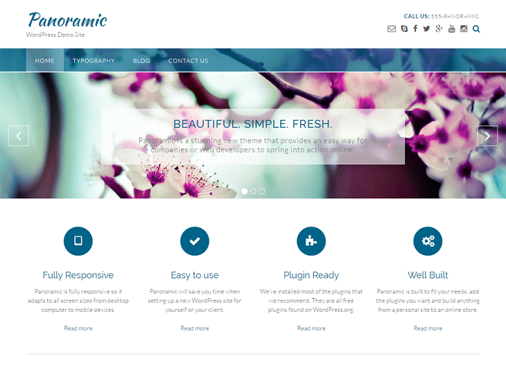 Panoramic WordPress Themes, most customizable free wordpress theme