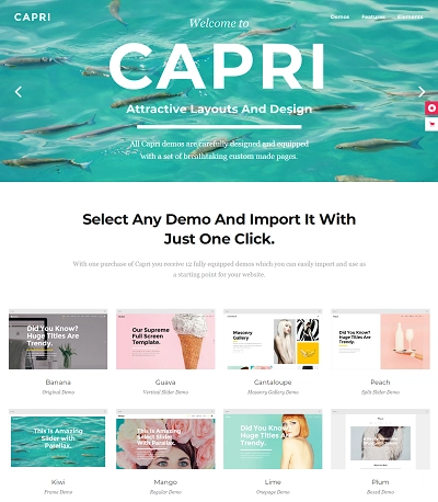Capri Multipurpose Portfolio WordPress Theme